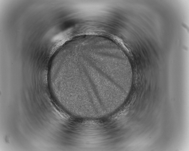 X0000094960299200712201206