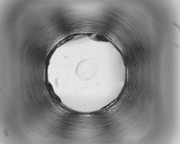 X0000094960301200712201206