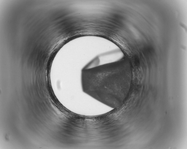 X0000094960302200712201206