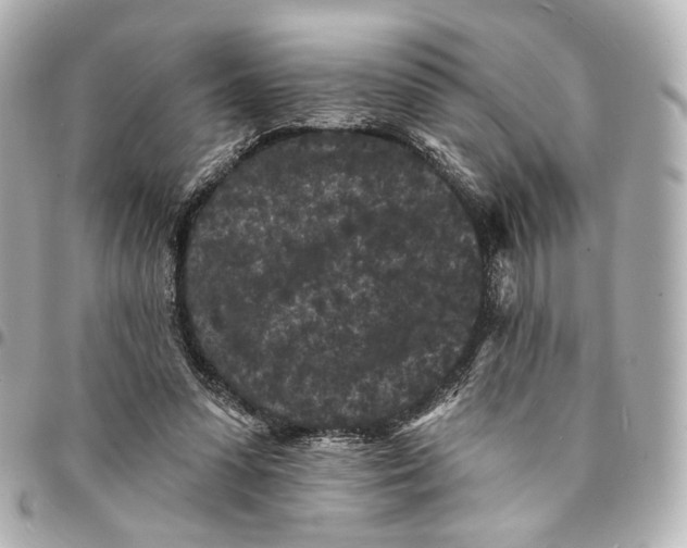 X0000094960303200712201206