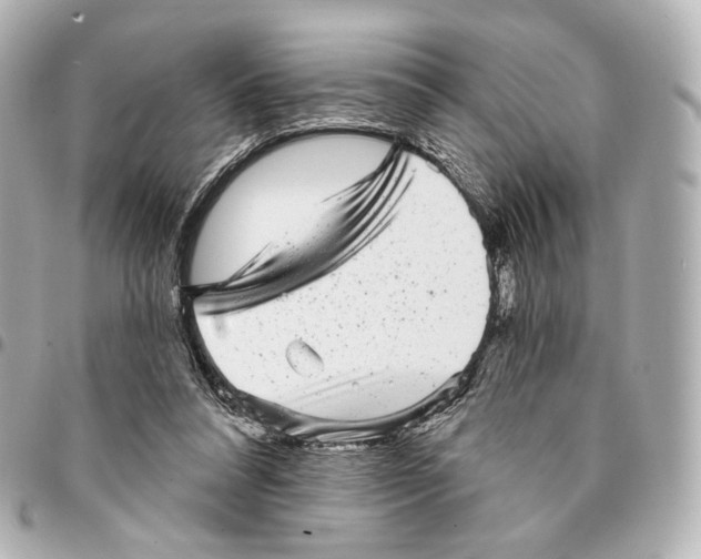 X0000094960304200712201206