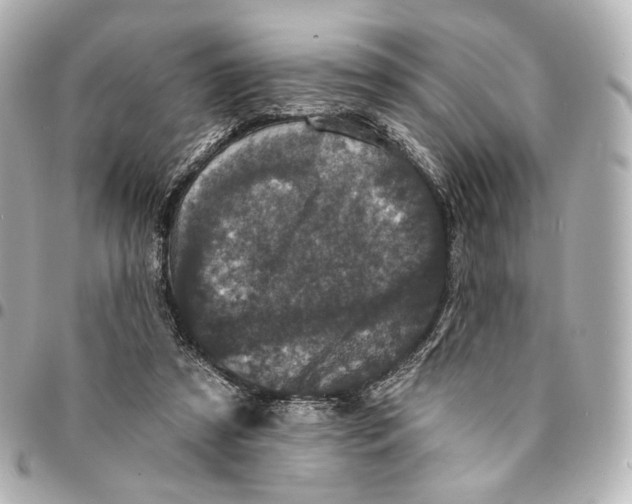 X0000094960305200712201206