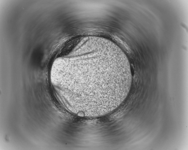 X0000094960306200712201206