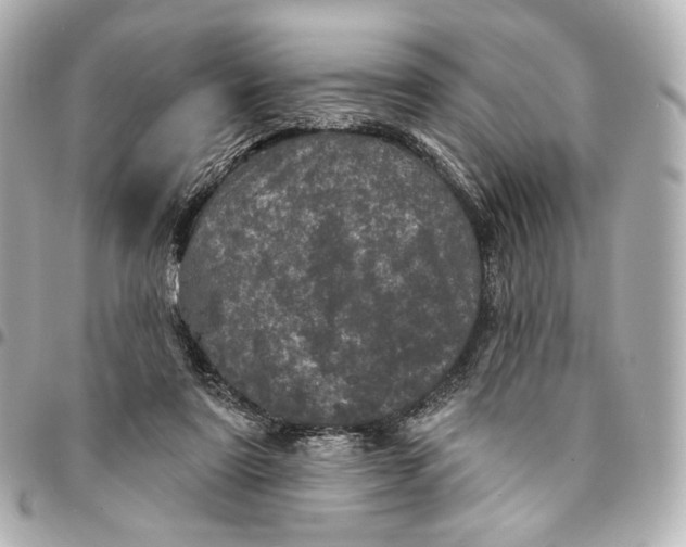 X0000094960307200712201206