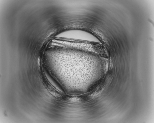 X0000094960308200712201206