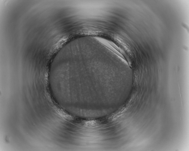 X0000094960309200712201206