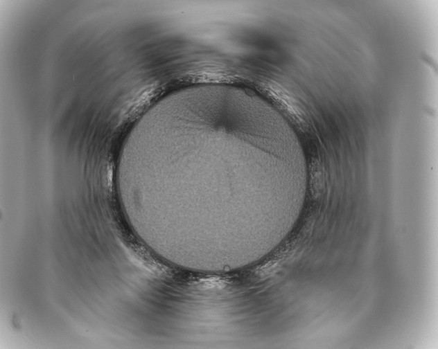 X0000094960310200712201206