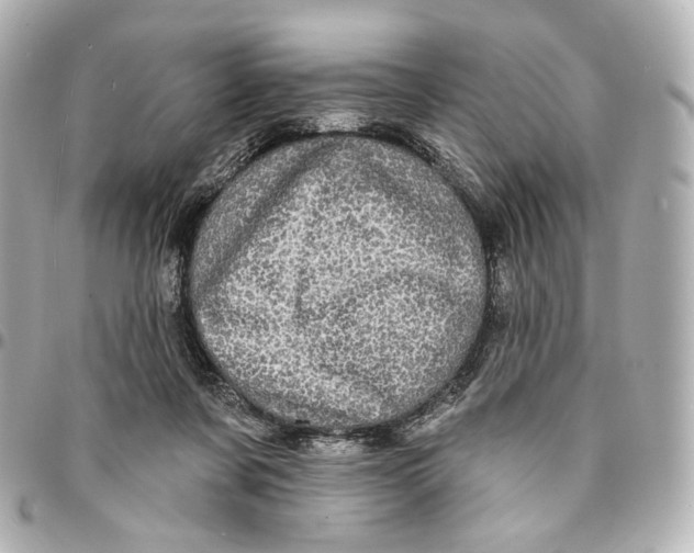 X0000094960311200712201206