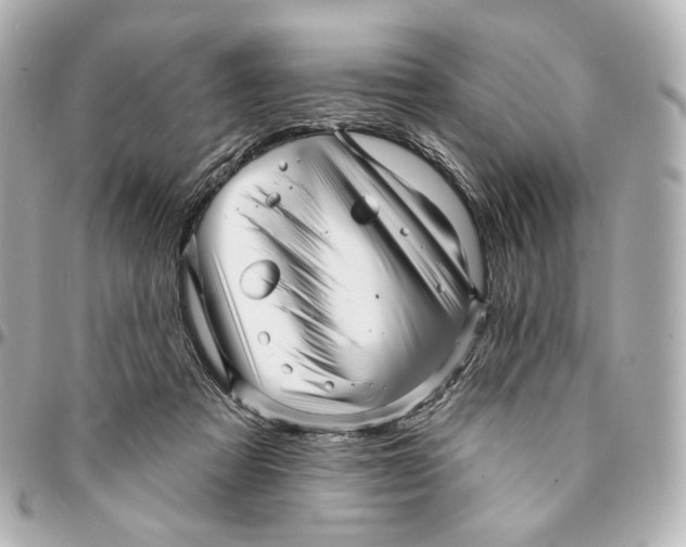 X0000094960313200712201206