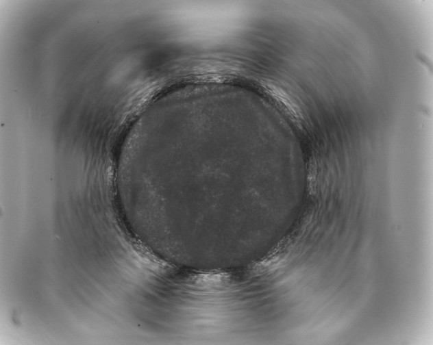 X0000094960314200712201206