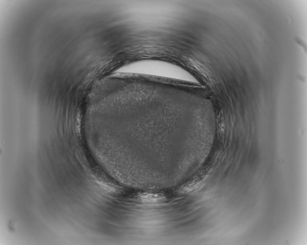 X0000094960315200712201206