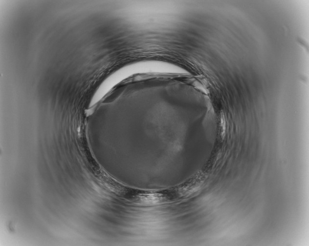 X0000094960316200712201206