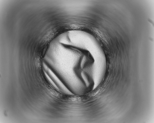 X0000094960317200712201206