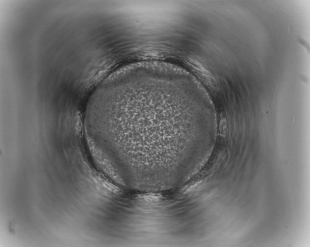 X0000094960318200712201206