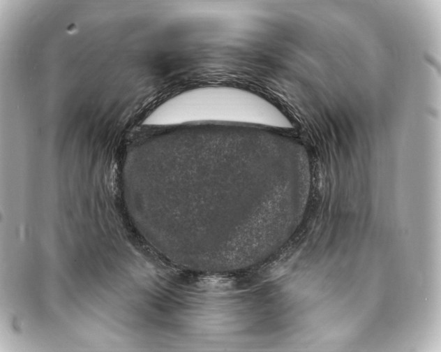 X0000094960319200712201206