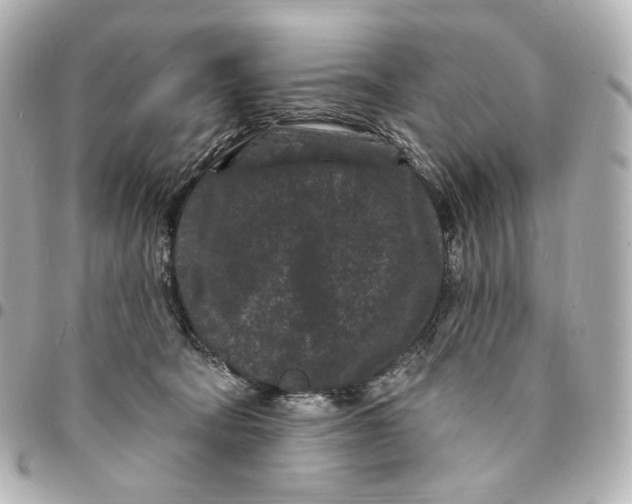 X0000094960322200712201206