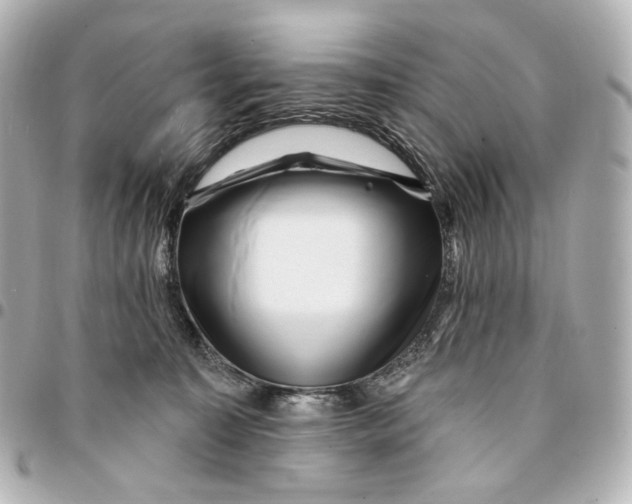 X0000094960323200712201206