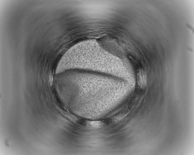 X0000094960324200712201206