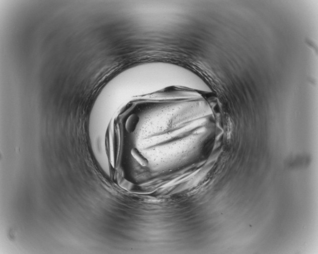 X0000094960325200712201206