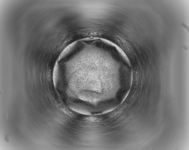 X0000094960326200712201206