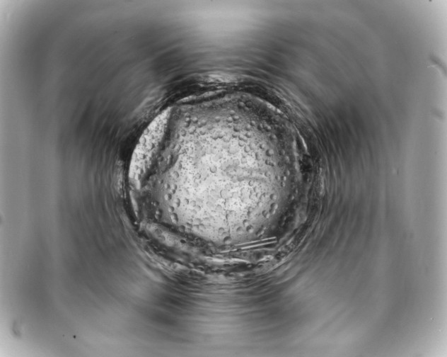 X0000094960328200712201206