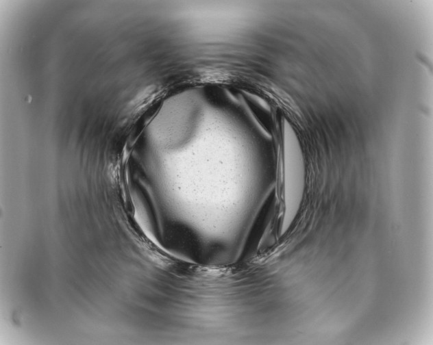 X0000094960329200712201206