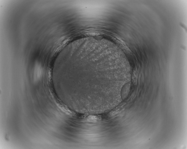 X0000094960330200712201206