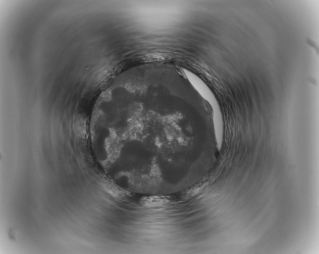 X0000094960331200712201206