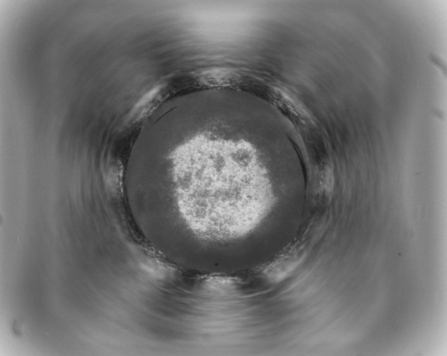 X0000094960332200712201206