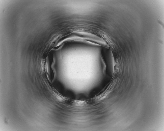 X0000094960333200712201206