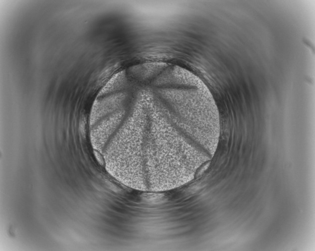 X0000094960334200712201206