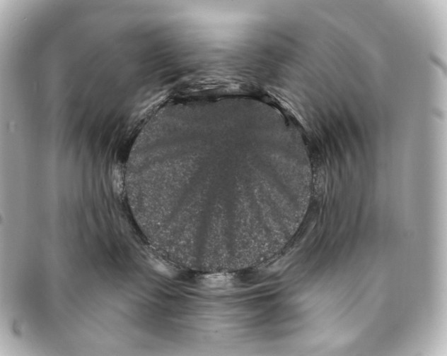 X0000094960335200712201206