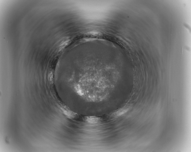 X0000094960336200712201206