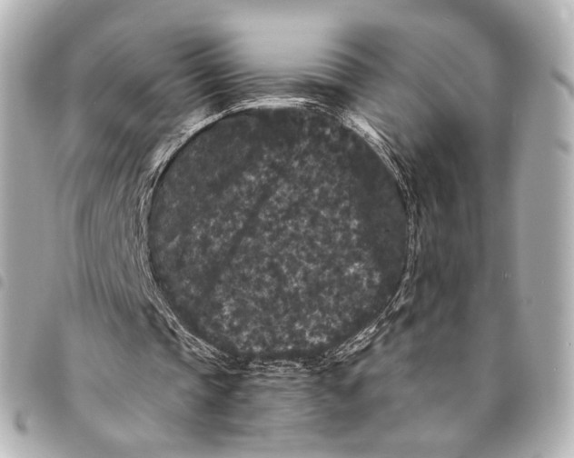 X0000094960337200712201205