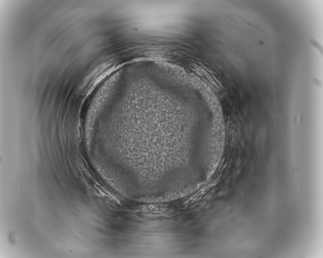 X0000094960338200712201205