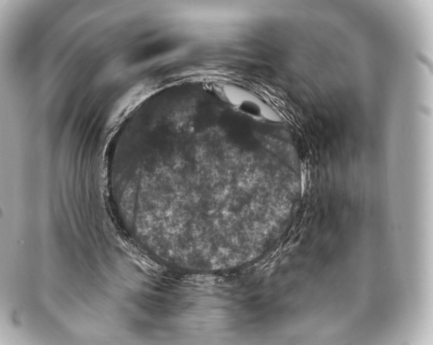 X0000094960339200712201205