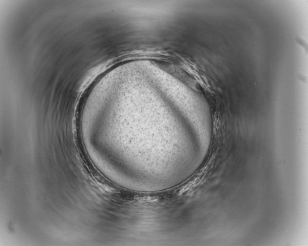 X0000094960340200712201205