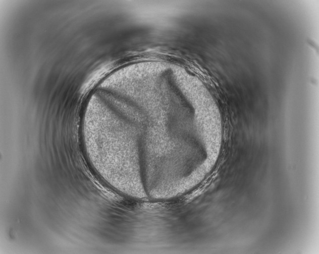 X0000094960341200712201205