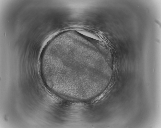 X0000094960342200712201205