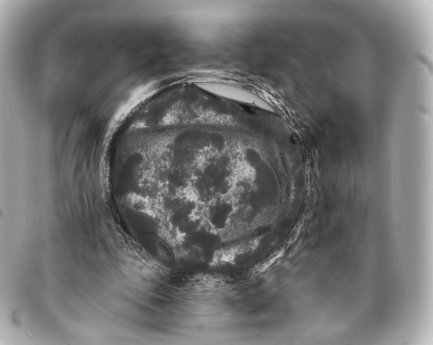 X0000094960343200712201205