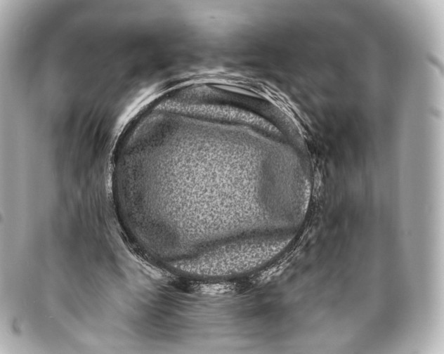 X0000094960344200712201205