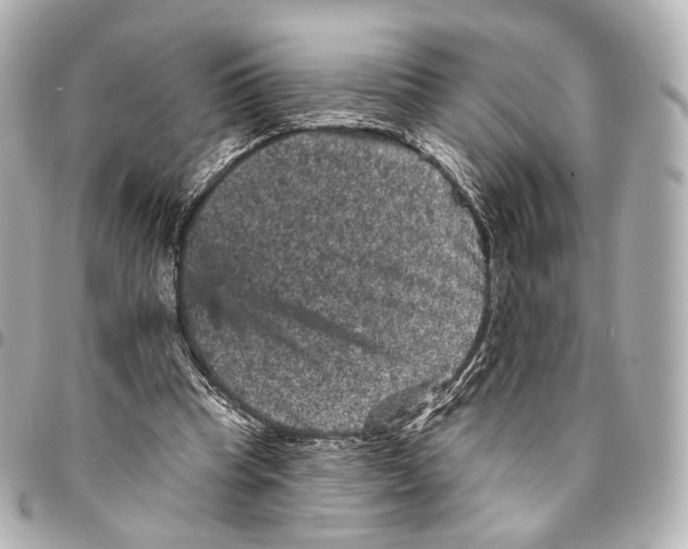 X0000094960345200712201205