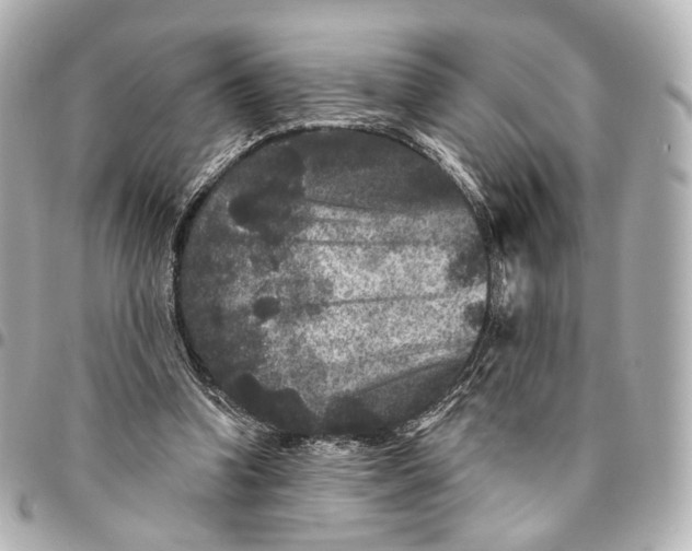 X0000094960346200712201205