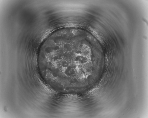 X0000094960347200712201205