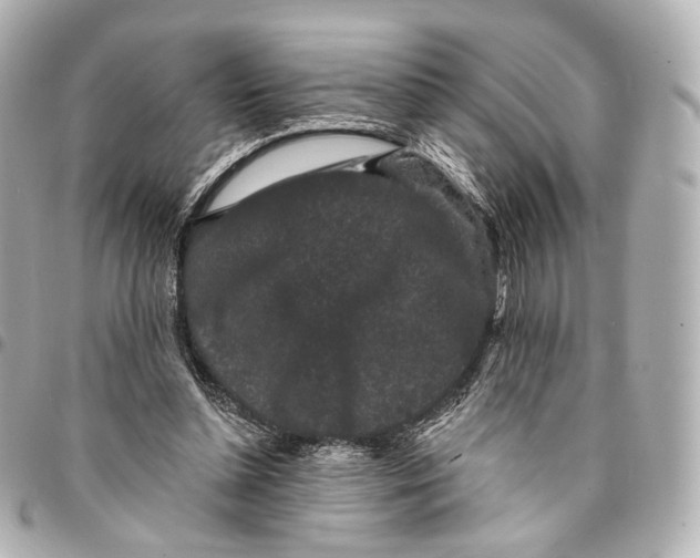 X0000094960348200712201205