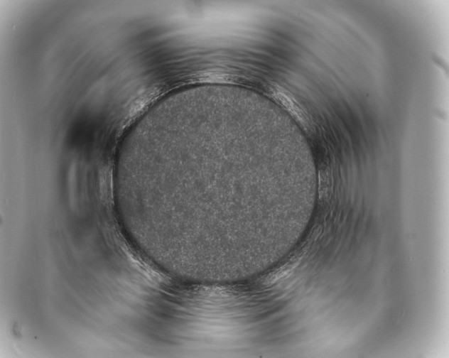 X0000094960349200712201205