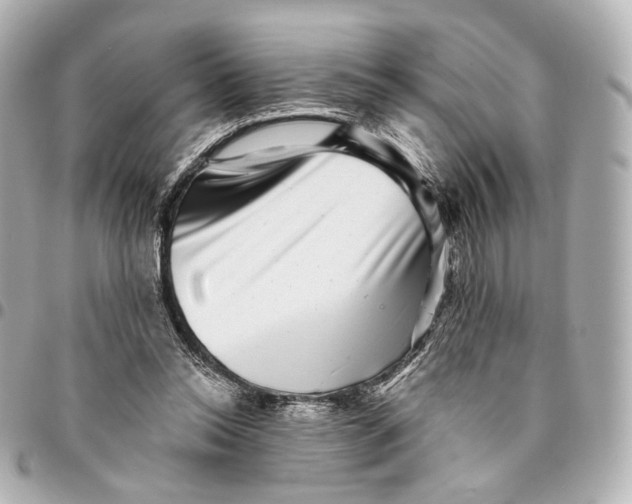 X0000094960350200712201205