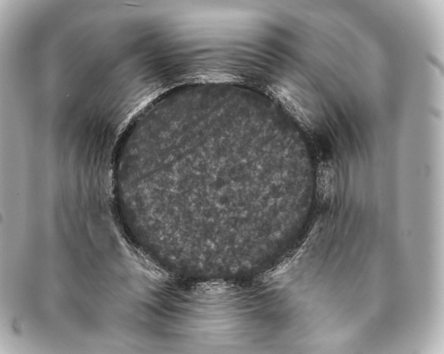 X0000094960351200712201205