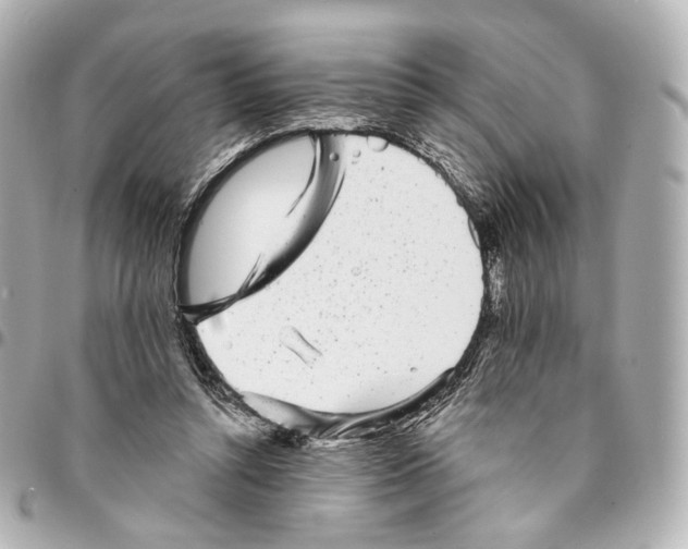 X0000094960352200712201205