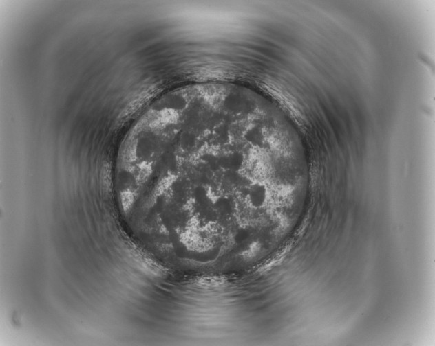 X0000094960353200712201205